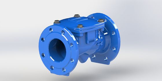 EPDM Seal Swing Flex Check Valve با محدوده اندازه DN50-700 و اتصال فلنج PN10/PN16
