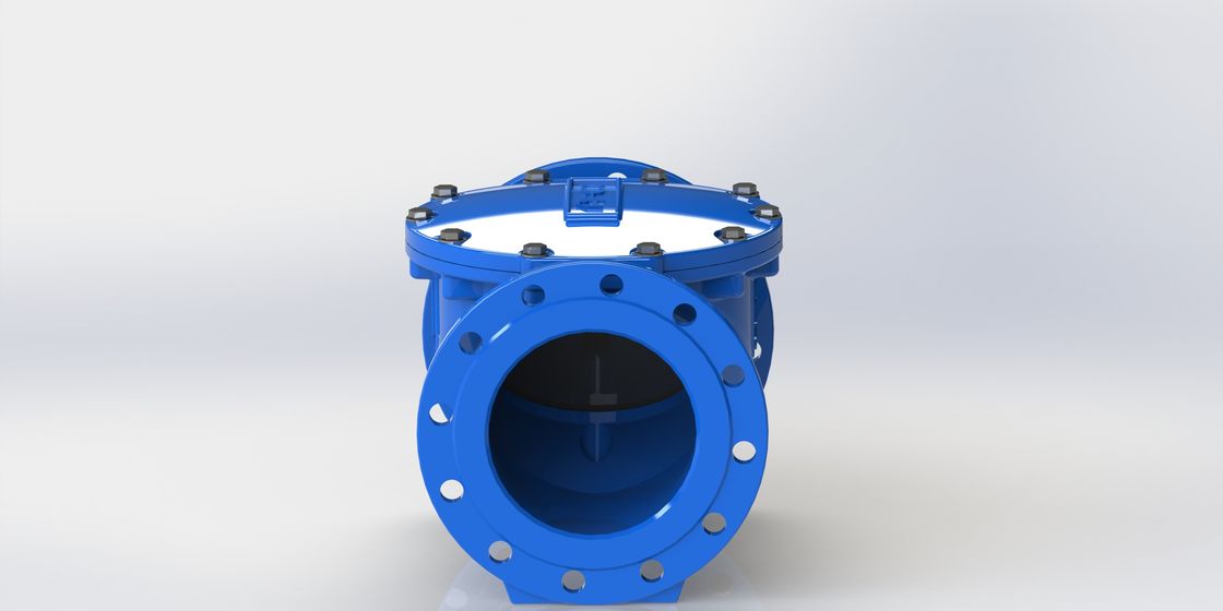 EPDM Seal Swing Flex Check Valve با محدوده اندازه DN50-700 و اتصال فلنج PN10/PN16